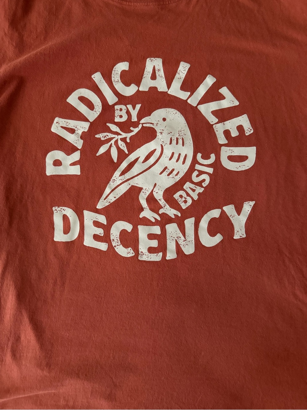 Rust Red Graphic Tee with White Bird Print